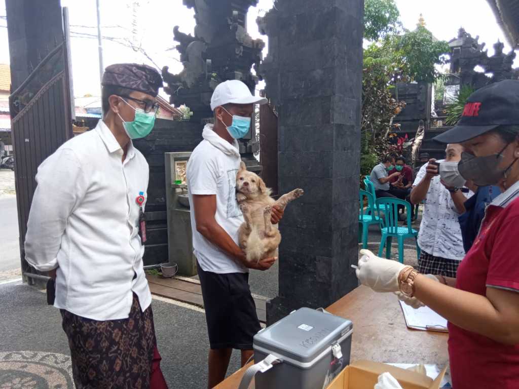 Dinas Pertanian dan Pangan Terjunkan Tim Vaksinasi ke Desa Kutuh
